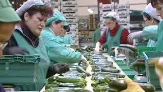 Spain's recession eases, recovery still fragile - economy