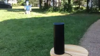 Robot Roxie Skill Demo