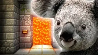 Koala does Traps - Door Prank