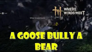 Goose Bully a Bear. Bully is real - Where Winds Meet