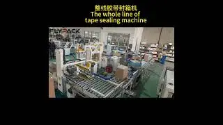 The whole line of tape sealing machine,My Whatsapp:8618962275188#machine #factory #manufacturing