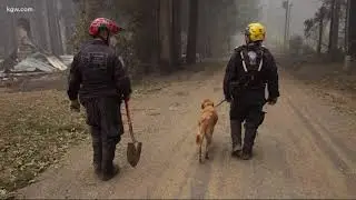 Destruction tally grows from Oregon wildfires