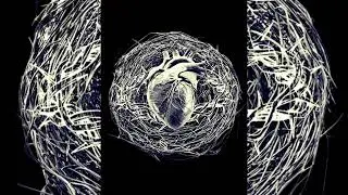 HEARTNEST - Thorned Heart [DEMO]