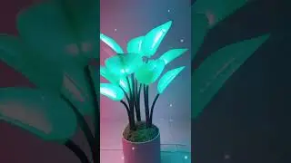 Boost Your Product Line with Lumio &ndash; The Smart LED Decor Lamp That Sells Itself!