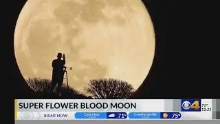 Super flower blood moon