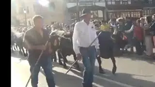 Feria de los Santos en Potes 2.11.2024
