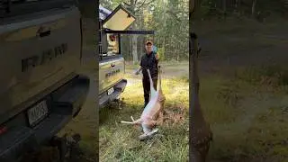 Built-In Loading Boom Inside My Hunting Canopy