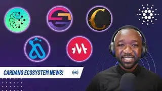 Cardano Ecosystem Updates! WMT, MELD, Genius Yield, AADA, TeddySwap, Poki, CNFT Jungle & More!