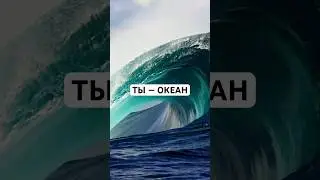 #Випассана онлайн 24-25 мая | подробности в ТГ по ссылке в био ютуб