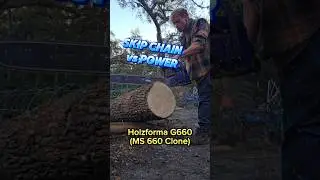Цепь с проскальзывающими зубьями PLUS на бензопиле Holzfforma G660 #бензопила #пилотадеревьев #st...
