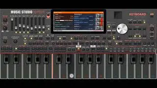 set org 2024 manual