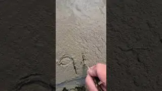 DATING THE WET CONCRETE #date #dating #september2024 #0918 #091824 #wetconcrete #concrete