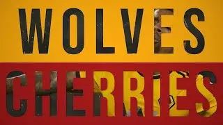 Wolves 2-0 Bournemouth | Alternative Highlights