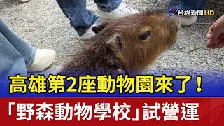 高雄第2座動物園來了！ 「野森動物學校」試營運