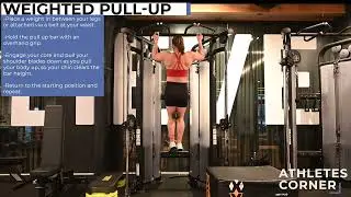 Weighted Pull Up