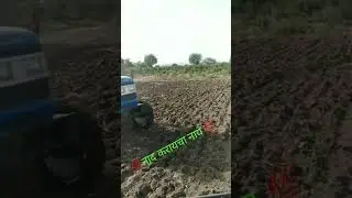 Somaliland  sikdr
