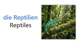 50 German Words for Reptiles | Intermediate German Vocabulary | Wortschatz Reptilien