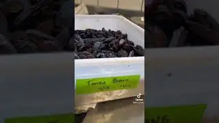 Tonka Beans - Love-Wishing Bean from South America