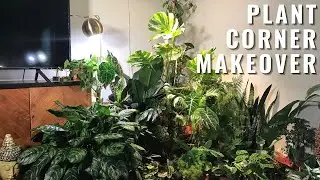 Living Room Plant Corner Makeover