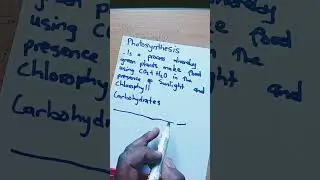 Zimsec O level Science ( photosynthesis)