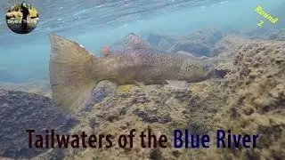 BEYOND THE FLY - Fly Fishing The Blue River