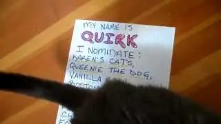 Quirk's Mice Bucket Challenge