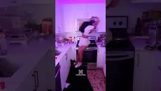 Cookingwithkya Got Roaches