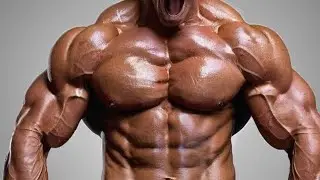 Best Muscle Building Supplements for Faster Recovery and Bigger Gains