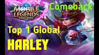 Top 1 Global Harley
