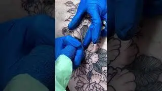 Peonies work in progress @ananas.tattoo