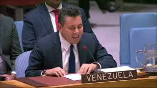 Venezuela at the Security Council: Multilateralism and Reform to Improve Global Governance