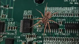 Смотрим, что внутри у Hi-End CD проигрывателя Musical Fidelity M6scd - в нем завелись тараканы!