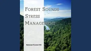 Forest Occupations