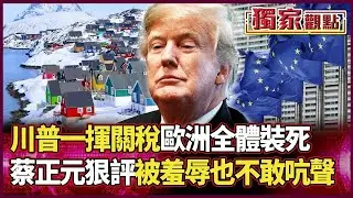 「別讓川普不開心」成全球噩夢！一揮關稅歐洲全體噤聲 蔡正元狠評：「被羞辱也不敢吭聲」｜#獨家觀點｜#環球大戰線