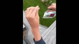 Red vs Blue splat #meme #satisfying #splatter #funny