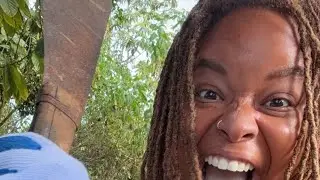 Off-Grid Hawaii Livestream 🌴| Married Black Lesbian Creators Battle Flies, Weeds & Win Back Peace 💫