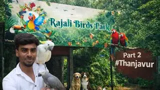🐦Rajali Birds Park Vlog PART-2 Thanjavur | #thanjavur | #birds | Near By Thanjavur Big Temple 🛕 