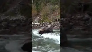River By Cabin