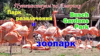 Путешествуем по Америке. Буш Гарденс (Busch Gardens Tampa Bay)