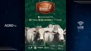 SACRAMENTO LEILÕES - 13/01/2026