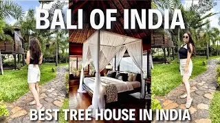 Sula Vineyard Tree House 