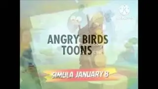 Boomeraction next angry birds toons