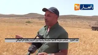 أم البواقي/ أزيد من 15 قنطار في الهكتار .. إنتاج مزرعة عبد العزيز من القمح الصلب واللين