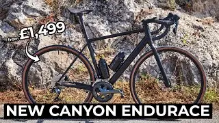 Your Synapse Reactions! Is BB30 DEAD? New Canyon Endurace 2022 launched