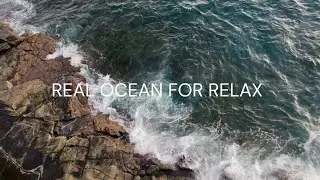 Ocean Waves🌊 | Real Sound for Relaxation | Meditation | Stress Relief (No Music)