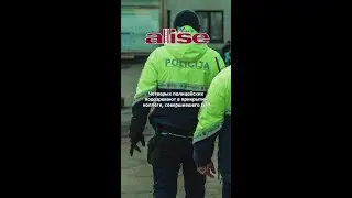 Четверых полицейских подозревают в прикрытии коллеги, совершившего ДТП