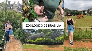 TOUR PELO ZOOLÓGICO DE BRASILIA EM 2023 | PASSEIO QUE LEMBRA A MINHA INFÂNCIA