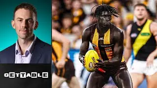 Why this Hawk is CATCHING EYES across the competition |  Gettable