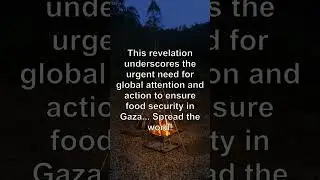 Gaza Starvation Crisis Uncovered: Israel's Food Shortage Denial Exposed #israel #gaza #hunger