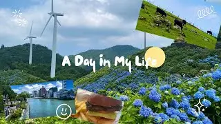 A Day In My Life in Japan
